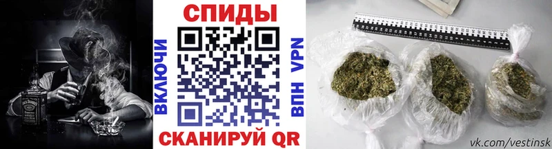 блэк спрут вход  Остров  Бутират буратино 