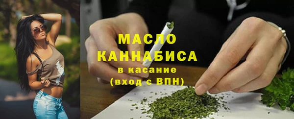 тгк Абаза
