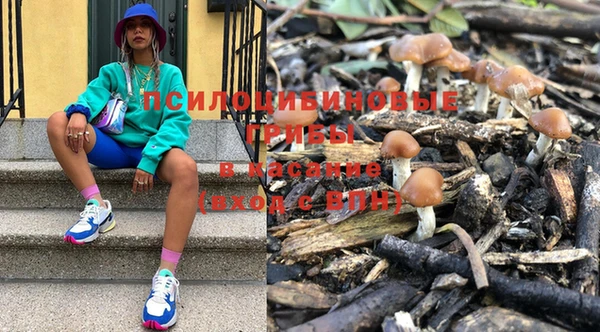 тгк Абаза