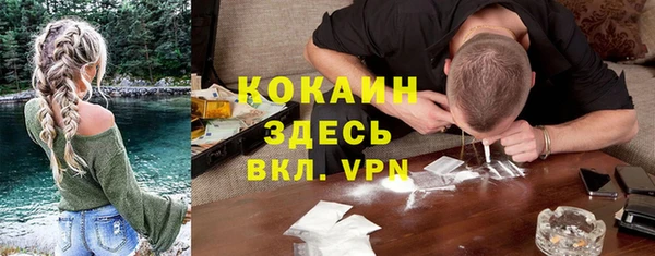 меф Пересвет