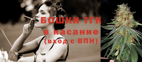 меф Пересвет